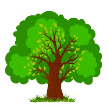 Как зарегистрироваться в системе Лес ЕГАИС
